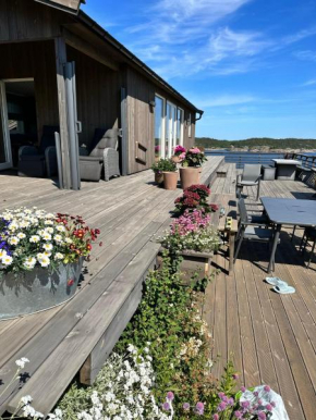 Lyngmyr, Søgne